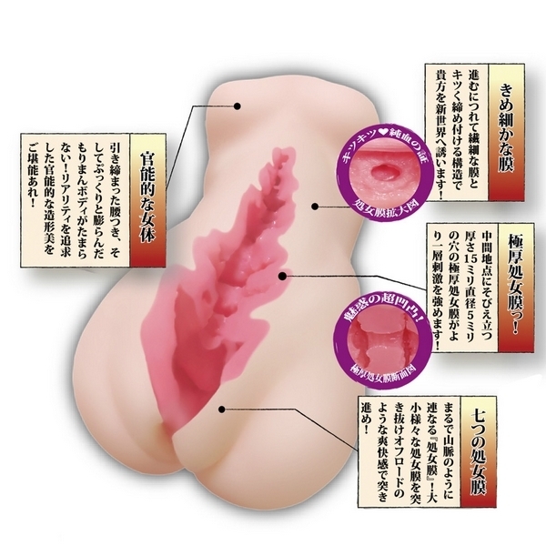 ���������o�@�i�m�[�}���j