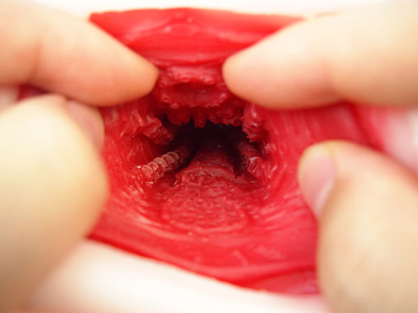 ���I�i������@�i�҂�����t�B�b�g�@�m�[�}���j