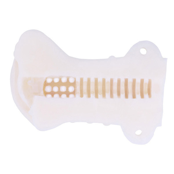 �C�C�I���i�@��������B�@�i�����T�݂��j