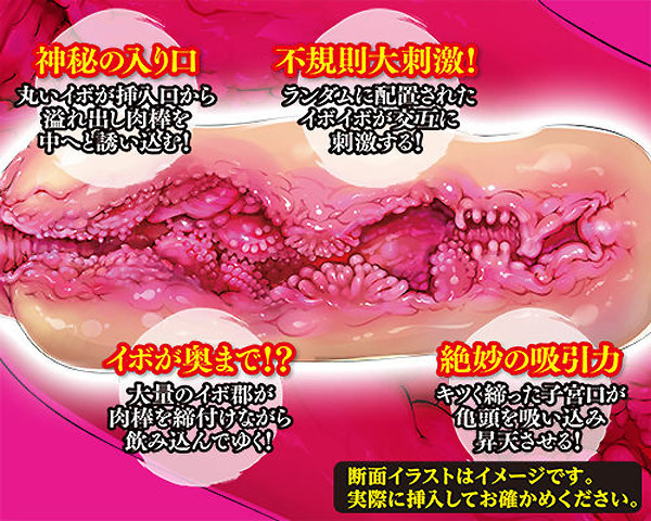 ����S�i�@�i�J�Y�m�R�V��j