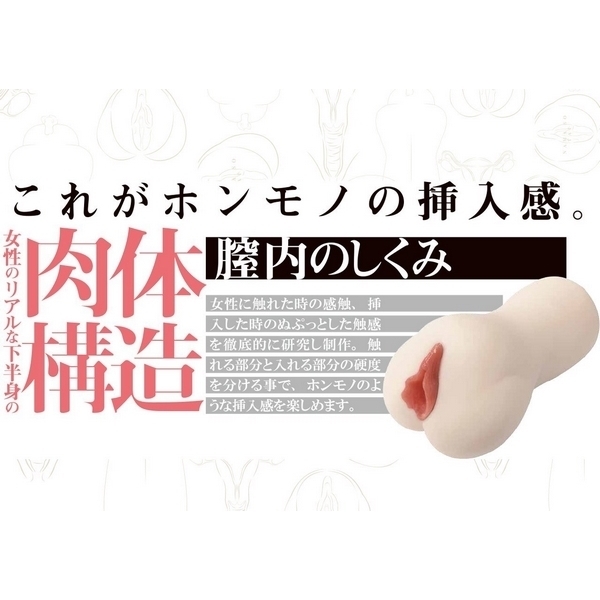 ���f�́@�i�O�P�j