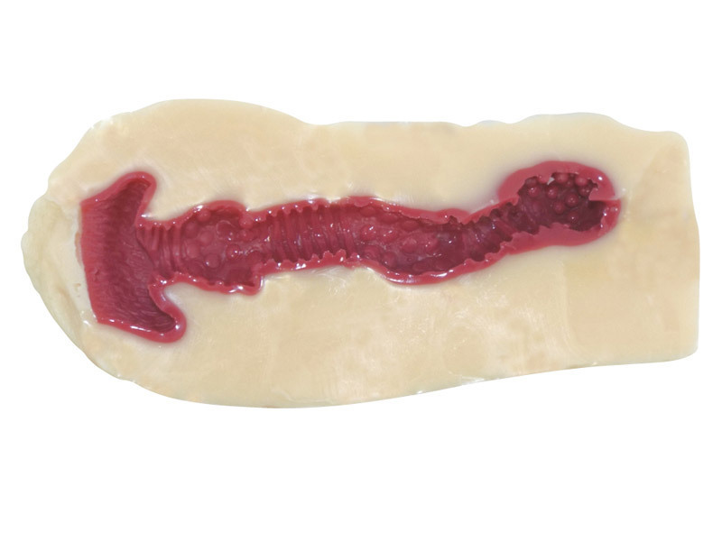 �����@���ؖ����̏n������