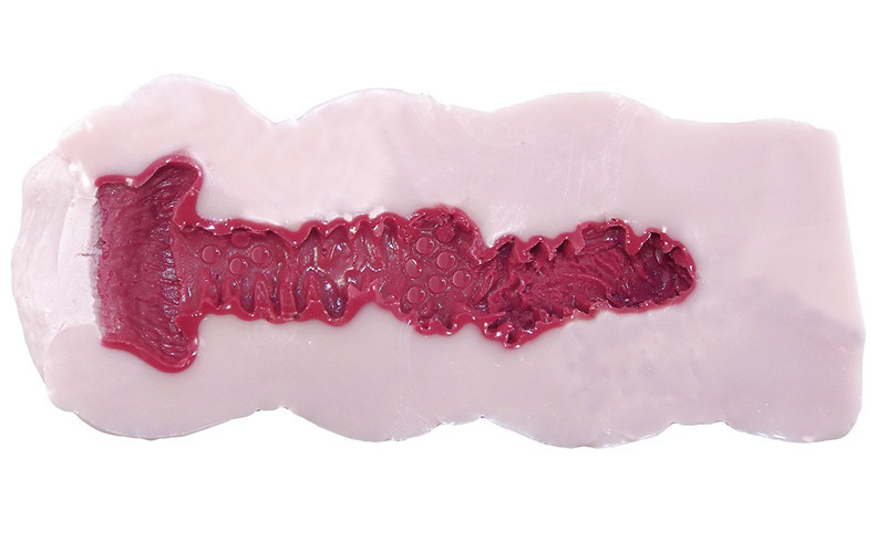 �җ�̂��ӂ���@�������i�c�u�c�����j