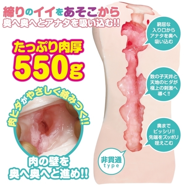 ���˂���w���@�ی����@�i�݂ݐ搶�̂������j